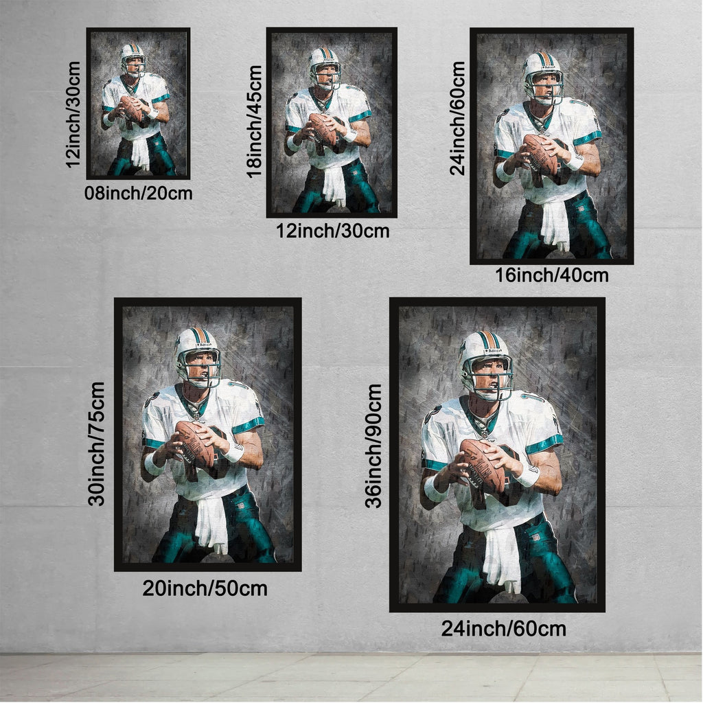 Dan Marino Celebrity Sports Art Poster School Dining Room Decoration 0 Canvas Wall Art Poster Decor Gift