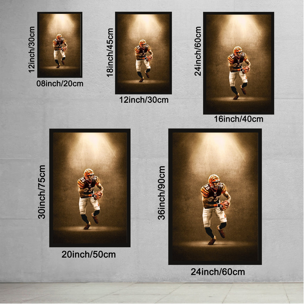 Chad Johnson Art Sports Decorative Poster School Dormitory 9 Canvas Wall Art Poster Decor Gift