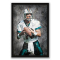 Dan Marino Celebrity Sports Art Poster School Dining Room Decoration 0 Canvas Wall Art Poster Decor Gift